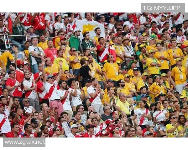 世界杯赛事盛况揭秘 球迷热情与竞技荣耀的完美交织