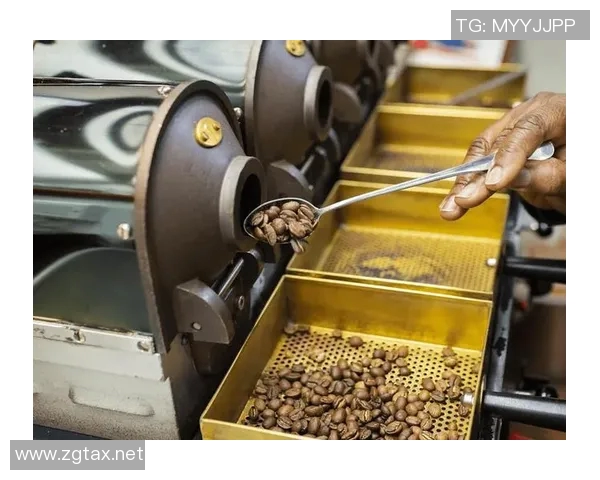 咖啡的魅力:探索从种植到冲泡的全过程与品味文化